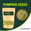 Plain Pumpkin Seeds