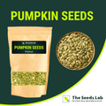 Plain Pumpkin Seeds