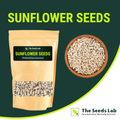 Plain Sunflower Seeds
